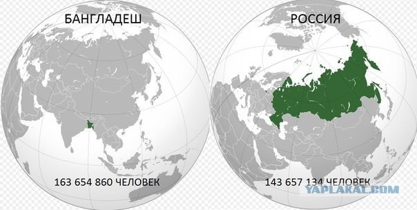буш или нострадамус